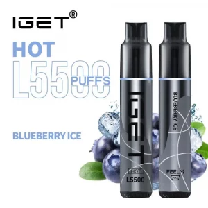 5500 Puff IGET HOT - Blueberry Ice