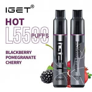 5500 Puff IGET HOT - Blackberry Pomegranate Cherry