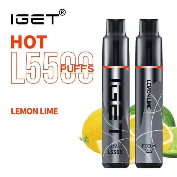 5500 Puff IGET HOT - Lemon Lime