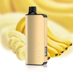 Alibarbar INGOT 9000 Puffs - Banana Buzz