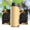 Alibarbar INGOT 9000 Puffs - Blackberry Ice