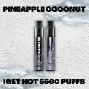 5500 Puff IGET HOT - Pineapple Coconut