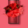 Gunnpod 15000 EVO - Strawberry Watermelon Ice