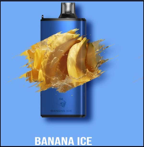 Gunnpod EVO 15000 - Banana Ice - Image 2