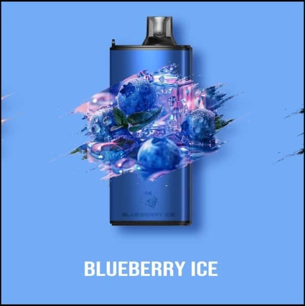 Gunnpod EVO 1500 Blueberry Ice