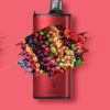 Gunnpod EVO 15000 - Frozen Forest Berry